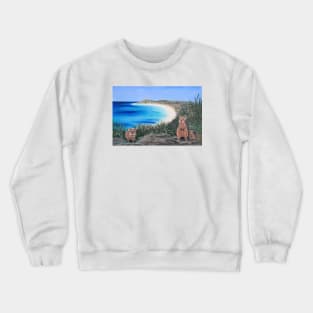 Down Under Crewneck Sweatshirt